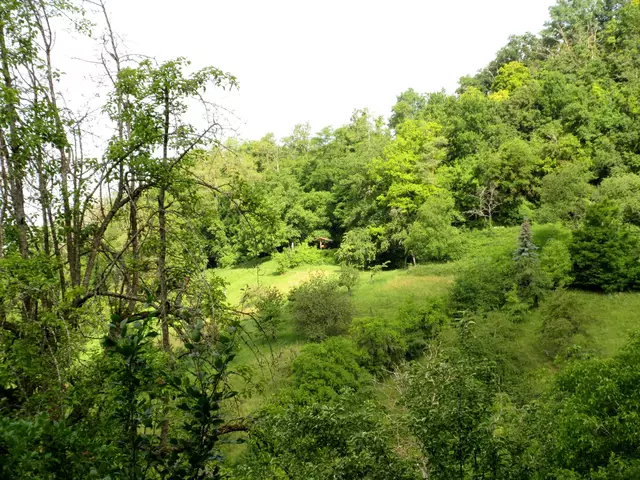 Blick zurück zur Saftbar | Foto: WandernGabyErich