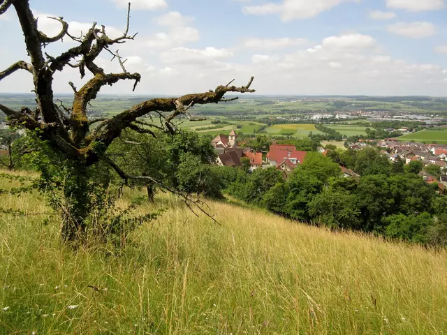 Blick auf Mönchberg zurück, steiler Anstieg in der Mittagshitze, hat sich aber gelohnt | Foto: WandernGabyErich