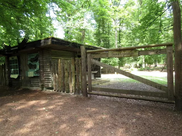 Damwildgehege beim Schönbuchturm | Foto: WandernGabyErich