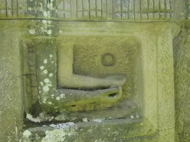 Symbol am Gedenkstein.  | Foto: sigischlottke