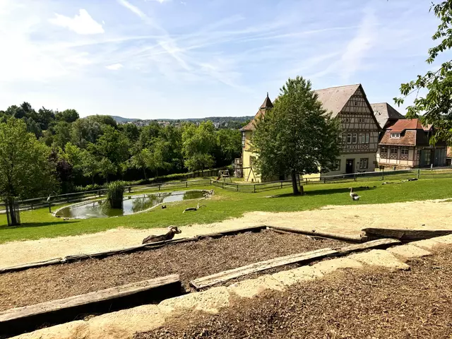 Foto: Heide Böllinger aus Bad Friedrichshall