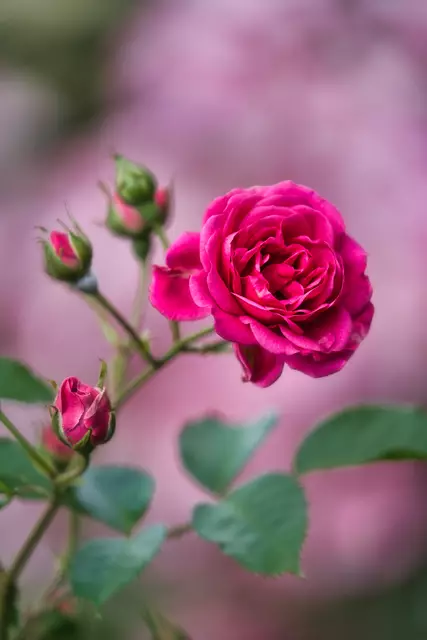 Foto: Yvonne Sperber