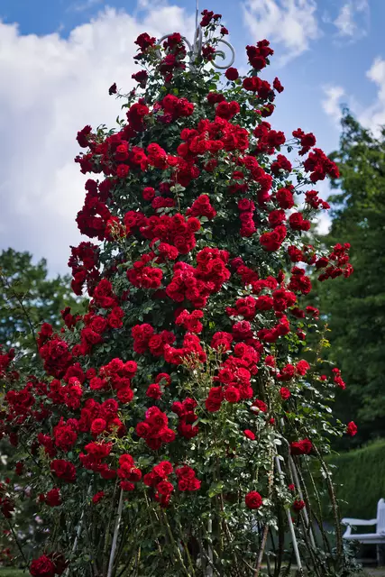 Foto: Yvonne Sperber