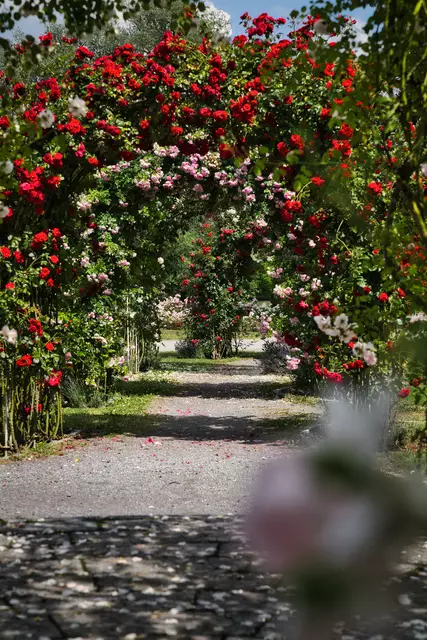 Foto: Yvonne Sperber