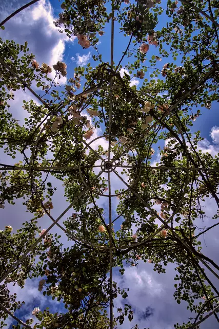 Foto: Yvonne Sperber