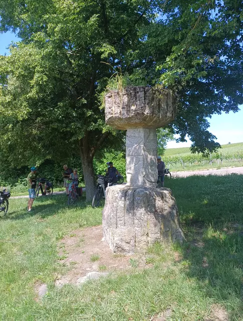 Ein Gedenkstein zum Rebenumlegung | Foto: E. Rosendorf