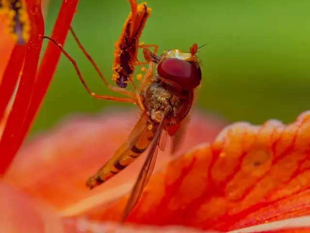 Foto: Eigenes Bild TB