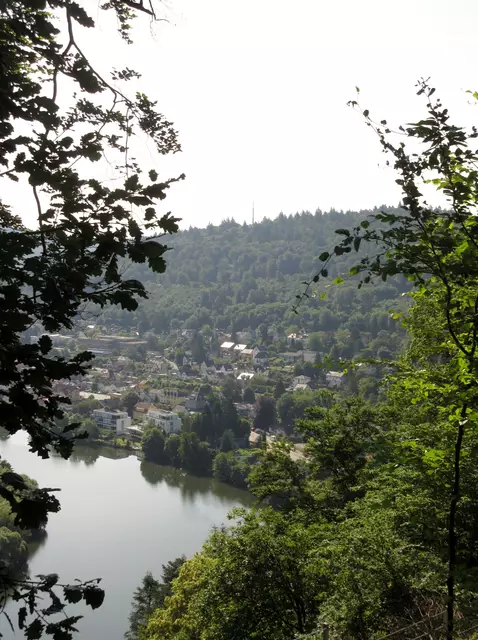Einmal zwischendurch den Neckar sehen, und den Funkturm auf dem Neckarriedkopf über Neckargemünd. Diesen Anblick verdient man sich mit 100 Metern Ab- und wieder Aufstieg | Foto: WandernGabyErich