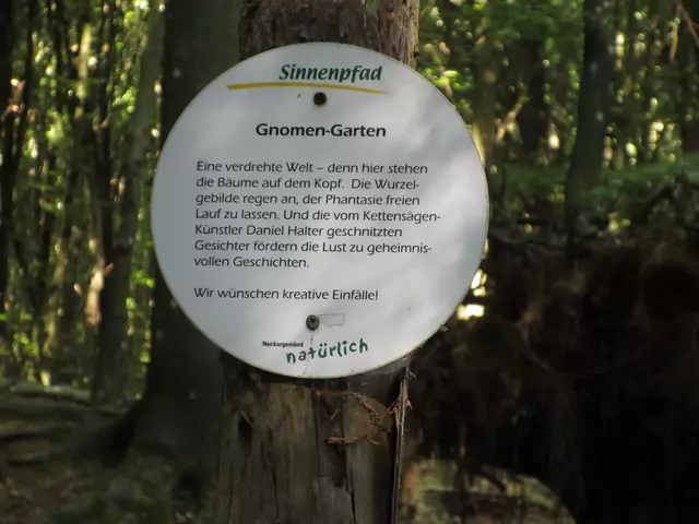 Der Sinnenpfad gehört noch zu Neckargemünd und begleitete die Gruppe zu Beginn der Wanderung | Foto: WandernGabyErich