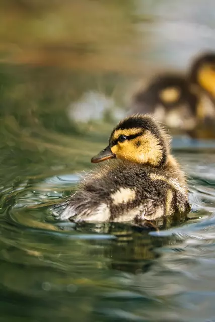 Foto: Yvonne Sperber