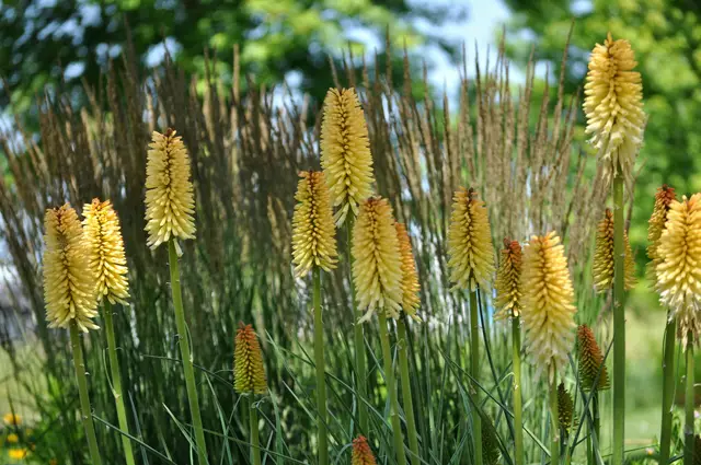 Mein Lieblingsbild | Foto: Daniela Somers