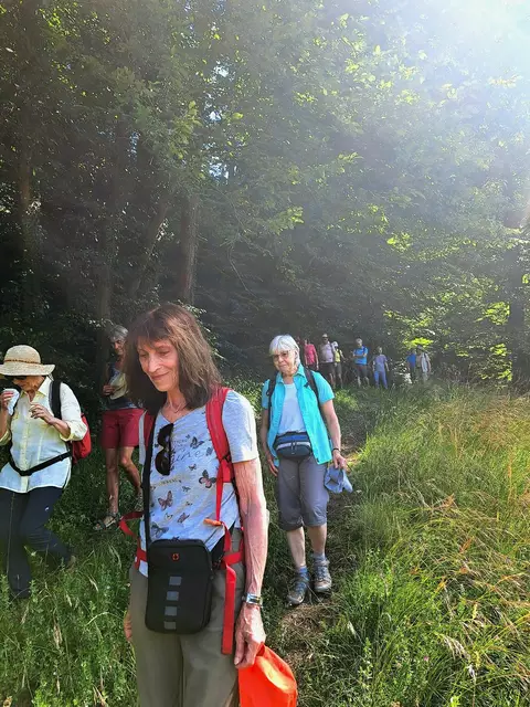 Aus dem schattigen Wald heraus , scheint uns die Sonne schon entgegen. | Foto: Isolde Reitz
