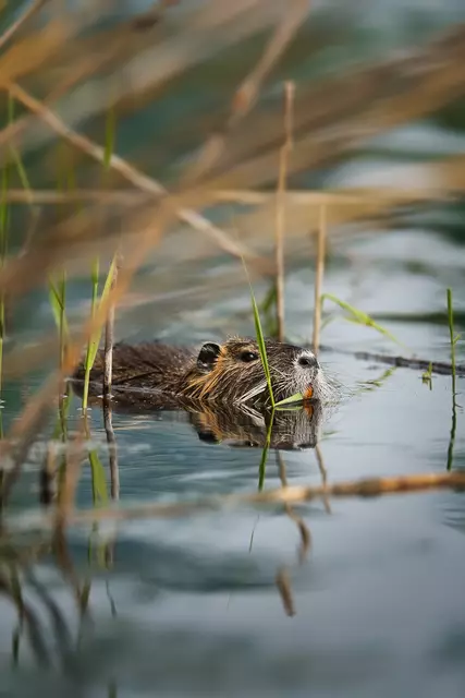 Foto: Yvonne Sperber