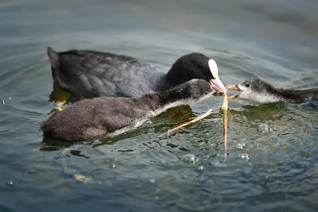 Foto: Yvonne Sperber