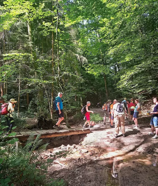 Auf einer romantischen Holzbrücke wurde die Bottwar überquert. | Foto: Isolde Reitz