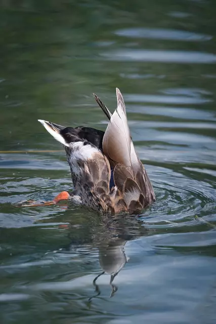 Foto: Yvonne Sperber