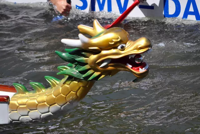 Drachenbootrennen auf dem Neckar | Foto: Daniela Somers