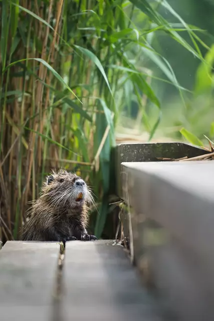 Foto: Yvonne Sperber