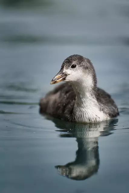 Foto: Yvonne Sperber