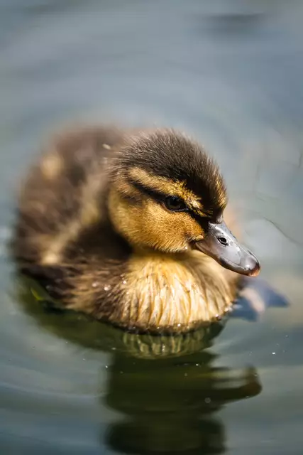 Foto: Yvonne Sperber