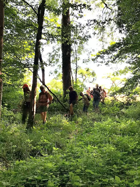 Um den richtigen Wanderweg zu finden, muss man sich erst durch das Gestrüpp durchkämpfen! | Foto: Isolde Reitz