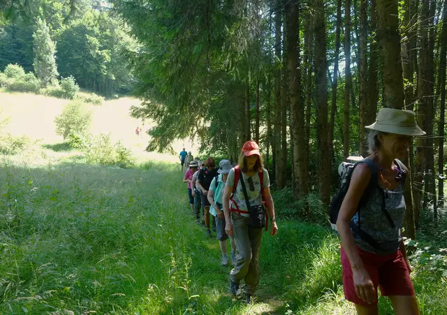 Endlich wieder auf einem angenehmen Wiesenpfad! | Foto: Isolde Reitz