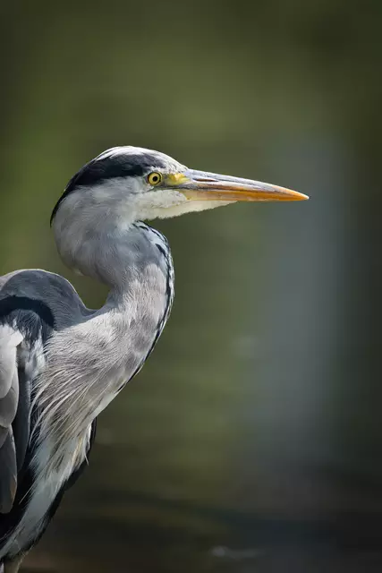 Foto: Yvonne Sperber