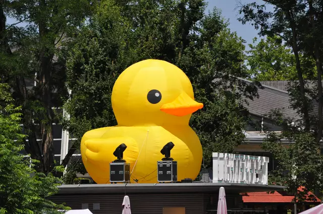 Das Entenrennen war leider erst um 17 Uhr. Das hat mir bei der Hitze zu lange gedauert um auf dem Fest zu bleiben. | Foto: Daniela Somers