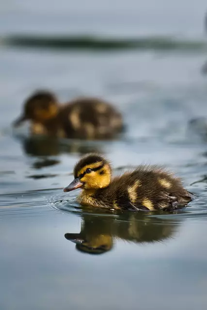 Foto: Yvonne Sperber