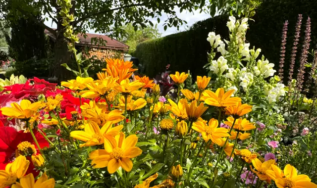 Foto: Heide Böllinger aus Bad Friedrichshall