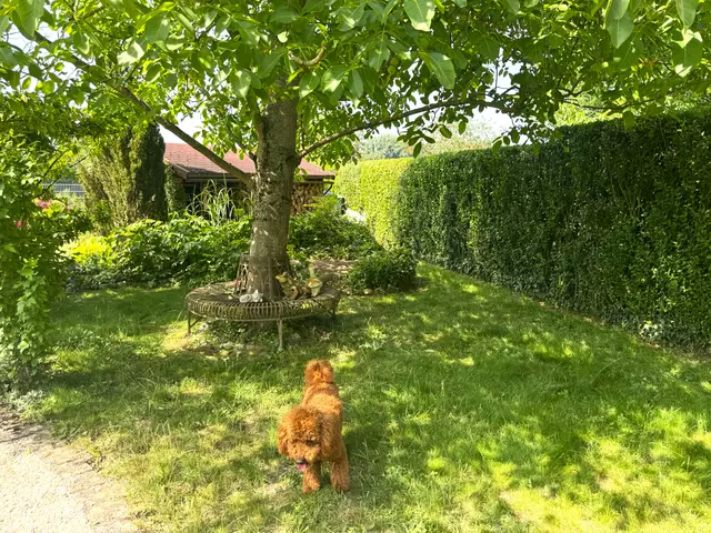 Foto: Heide Böllinger aus Bad Friedrichshall