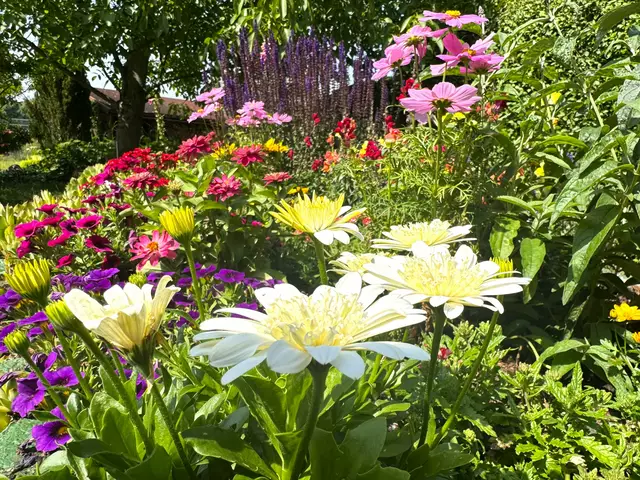 Foto: Heide Böllinger aus Bad Friedrichshall
