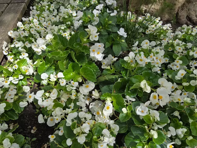 Foto: Heidrun Rosenberger