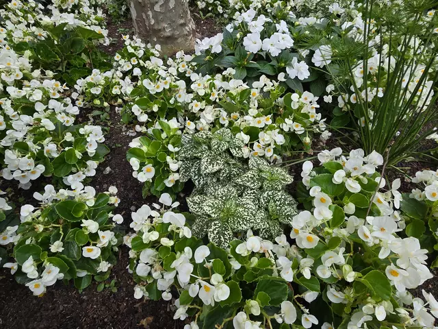 Foto: Heidrun Rosenberger