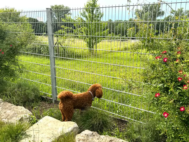 Foto: Heide Böllinger aus Bad Friedrichshall