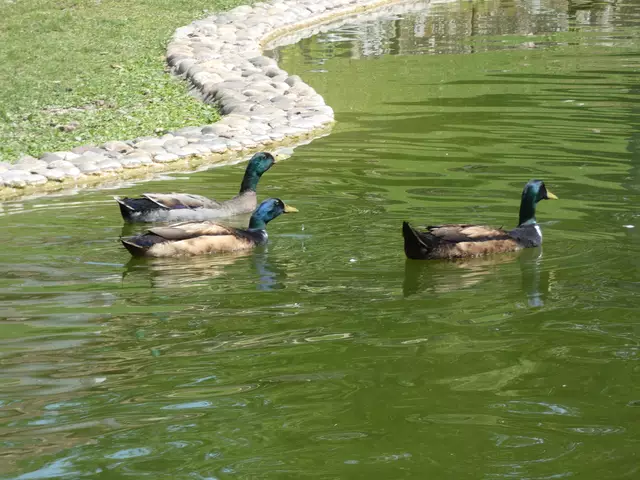 Ach ist das herrlich hier drin.  | Foto: sigischlottke