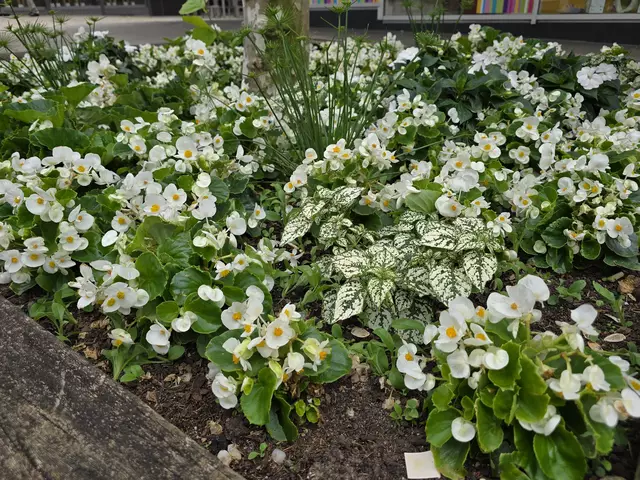 Foto: Heidrun Rosenberger