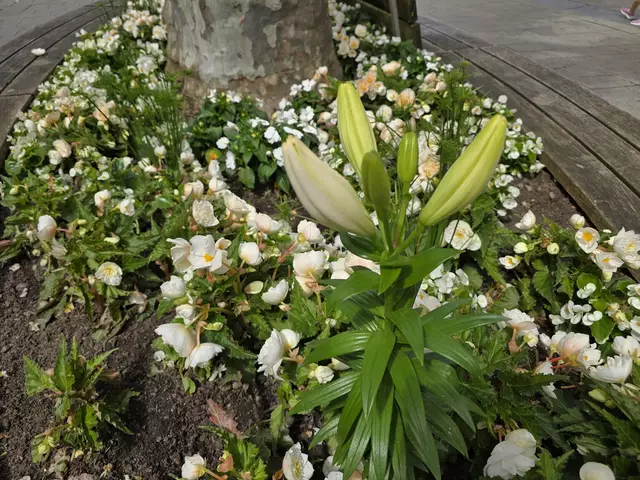 Foto: Heidrun Rosenberger