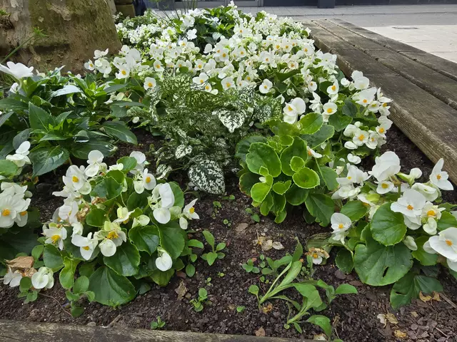 Foto: Heidrun Rosenberger