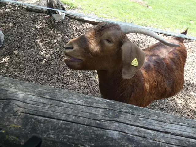 Hast du mal was Super-Leckeres für mich? fragt sie.... | Foto: sigischlottke