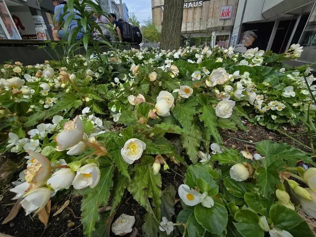Foto: Heidrun Rosenberger