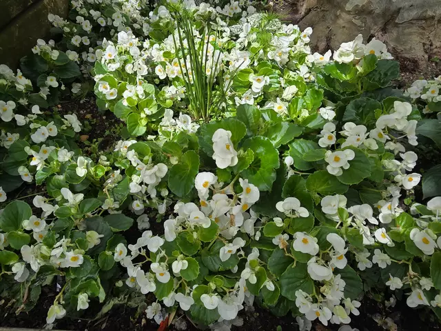 Foto: Heidrun Rosenberger