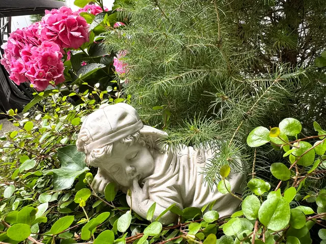 Foto: Heide Böllinger aus Bad Friedrichshall