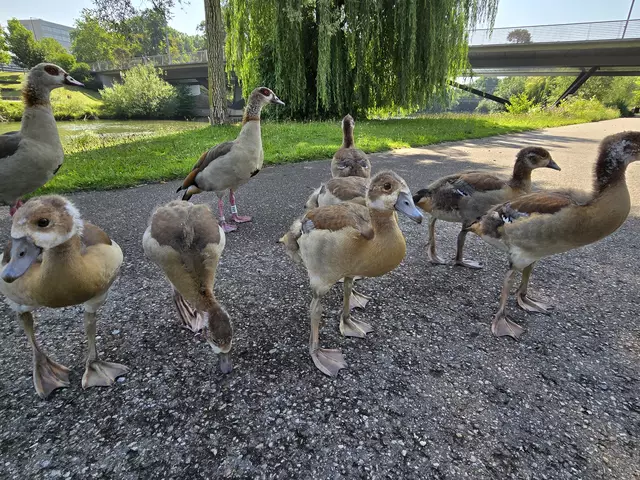 Foto: Heidrun Rosenberger