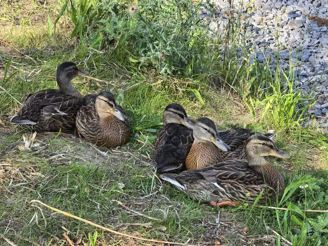 Foto: Heidrun Rosenberger