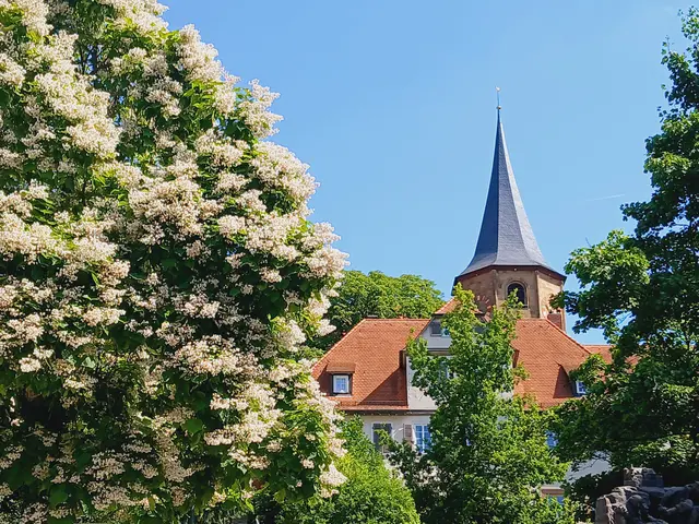 Foto: sigischlottke