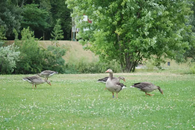 Foto: Heidrun Rosenberger