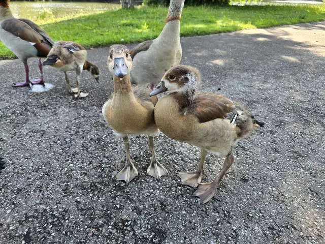 Foto: Heidrun Rosenberger