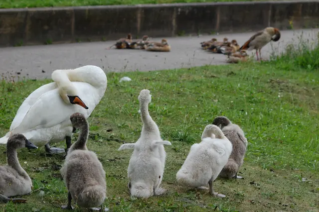 Foto: Heidrun Rosenberger
