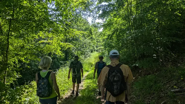 Gottlob hat es genug Wald und schmale Pfade | Foto: Johannes Vafiadis